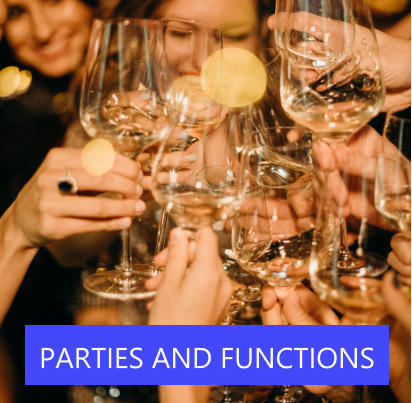 PARTIES AND FUNCTIONS